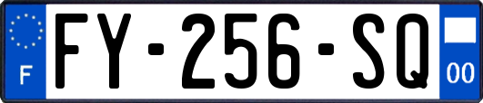 FY-256-SQ