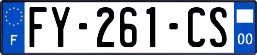 FY-261-CS