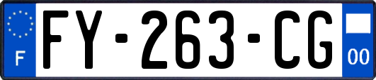 FY-263-CG