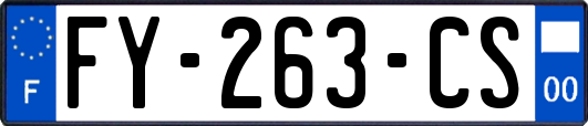 FY-263-CS
