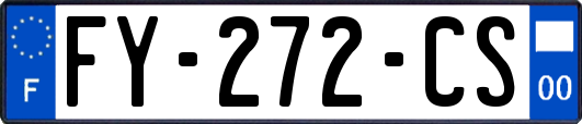 FY-272-CS