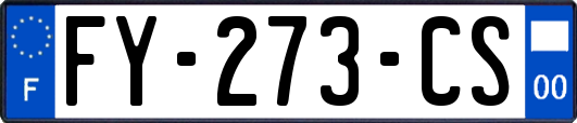 FY-273-CS