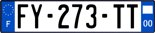 FY-273-TT