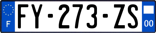 FY-273-ZS