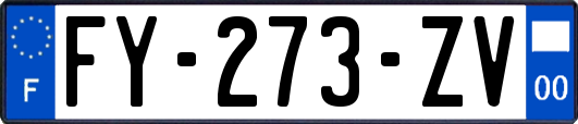 FY-273-ZV