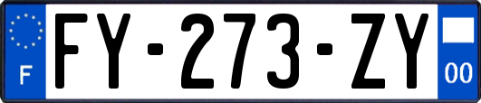 FY-273-ZY