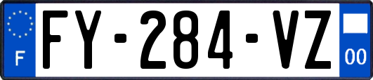 FY-284-VZ