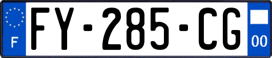 FY-285-CG