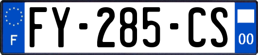 FY-285-CS
