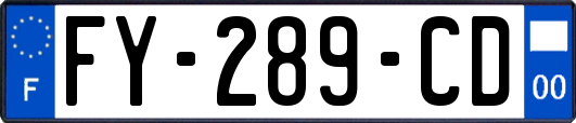 FY-289-CD