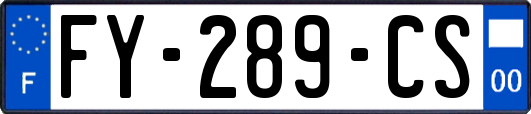 FY-289-CS