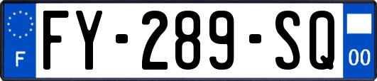 FY-289-SQ