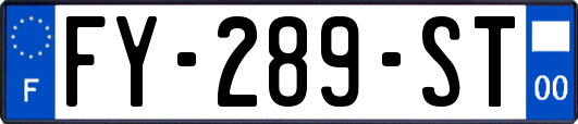 FY-289-ST