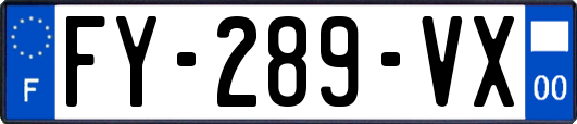 FY-289-VX