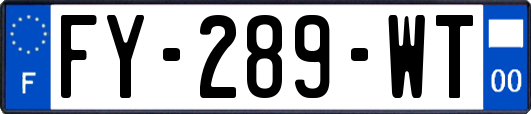 FY-289-WT