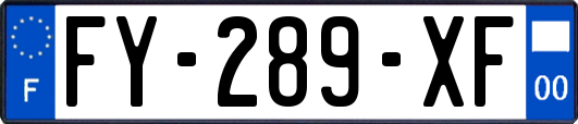 FY-289-XF