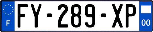 FY-289-XP