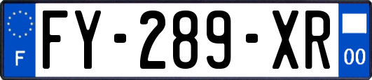 FY-289-XR