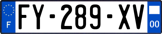 FY-289-XV