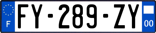 FY-289-ZY