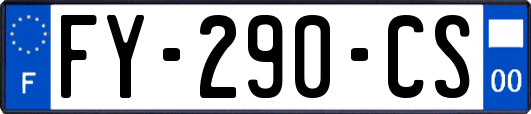 FY-290-CS