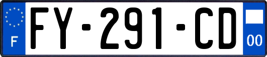 FY-291-CD