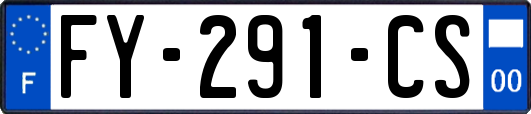 FY-291-CS