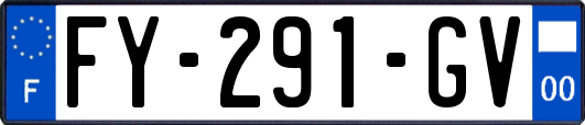 FY-291-GV