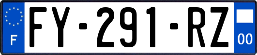 FY-291-RZ