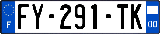 FY-291-TK