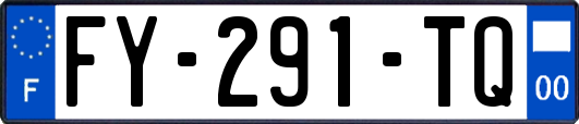 FY-291-TQ