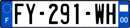 FY-291-WH