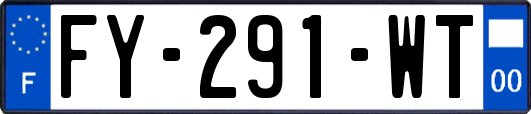 FY-291-WT