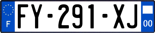 FY-291-XJ