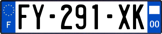 FY-291-XK