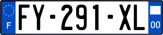FY-291-XL