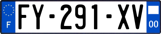FY-291-XV