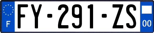 FY-291-ZS