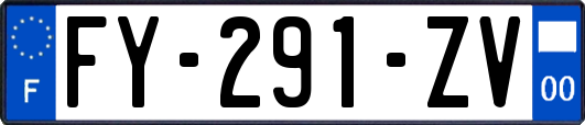 FY-291-ZV