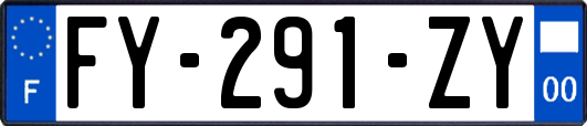 FY-291-ZY