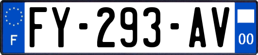 FY-293-AV