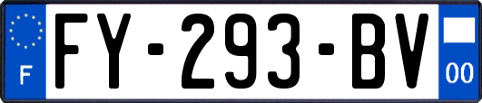 FY-293-BV