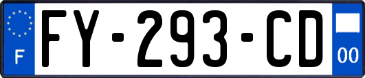 FY-293-CD
