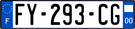 FY-293-CG