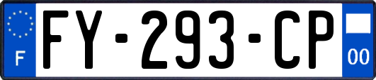 FY-293-CP