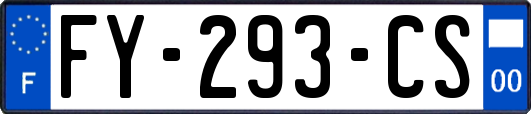 FY-293-CS