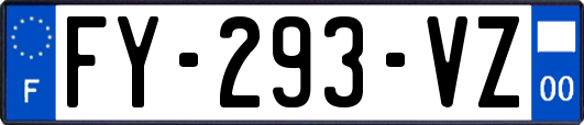 FY-293-VZ