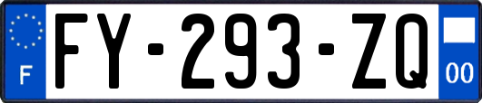 FY-293-ZQ
