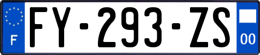 FY-293-ZS