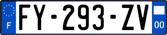 FY-293-ZV